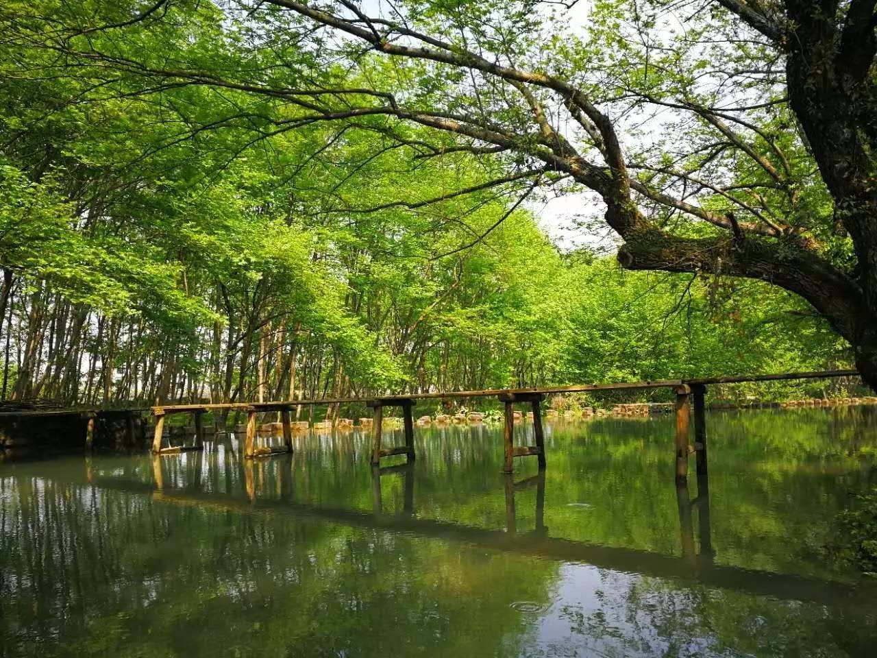 论文查重检测系统