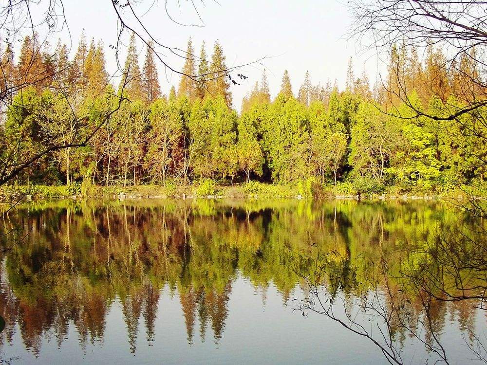 知网论文查重系统