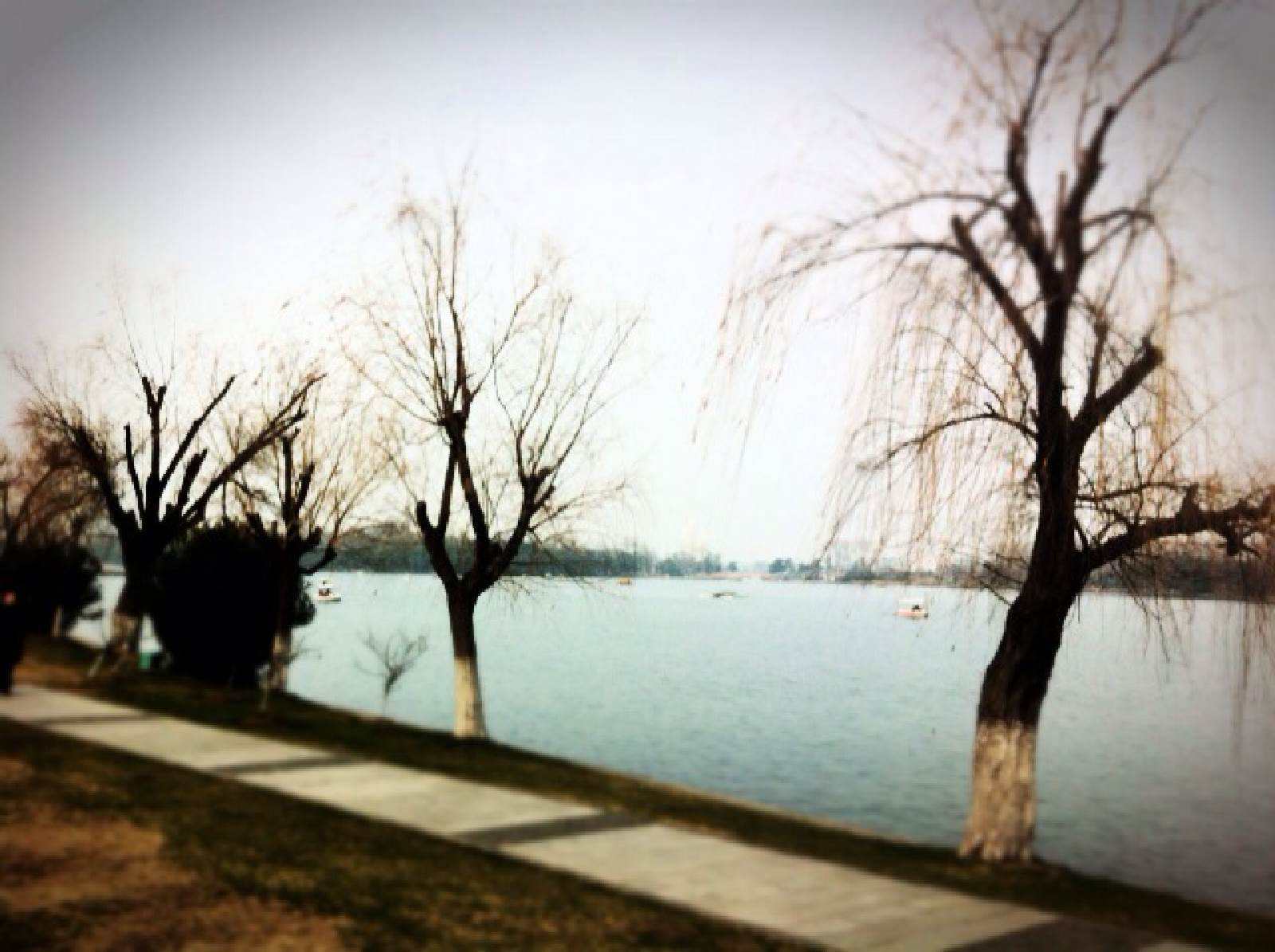 论文重复率检测