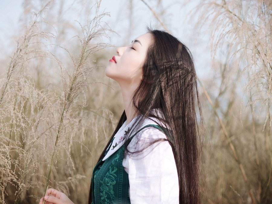 硕士论文查重软件