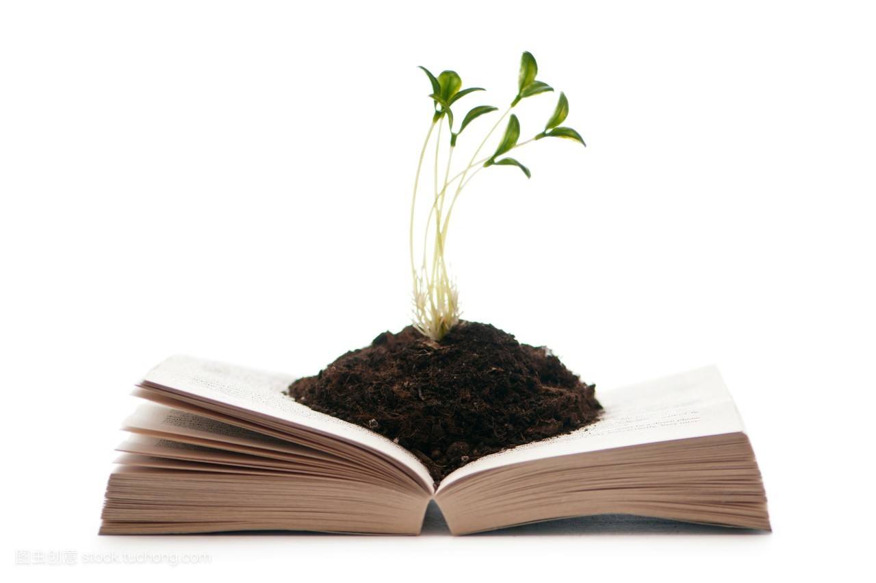 论文抄袭检测系统