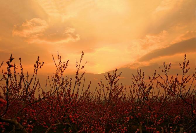 知网小分解查重