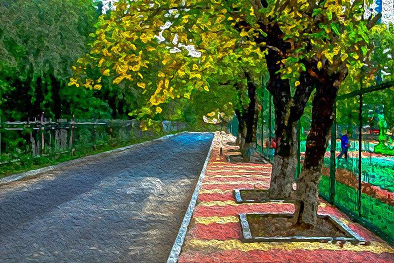 学术不端论文检测