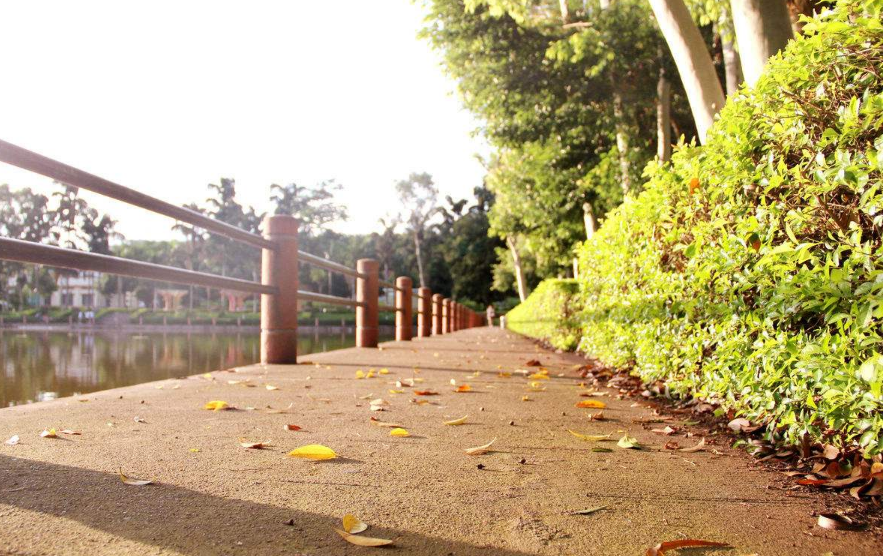 学术不端检测系统