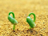 研究生论文查重用什么？如何对硕士毕业论文进行查重？