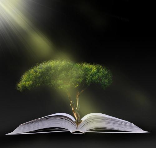 知网查重的基本原理及降低论文查重率? 知网查重的基本原理及降低论文查重率?