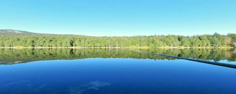 知网查重多少个字算抄袭呢? 知网查重多少个字算抄袭呢?