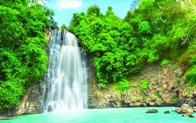 手机知网与知网查重官网