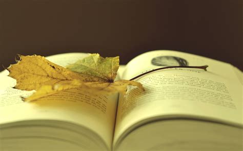 知网免费入口在哪，知网怎么免费查重？
