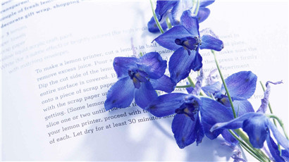 知网查重规则是什么？知网查重论文吗？