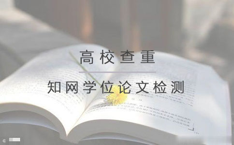 知网学位论文检测论文格式吗