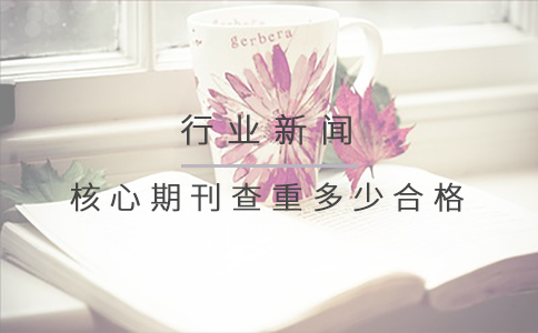核心期刊查重多少合格.jpg