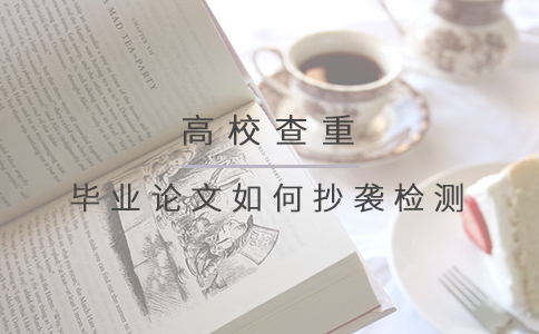 毕业论文如何抄袭检测