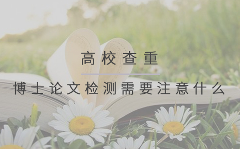 博士论文检测需要注意什么