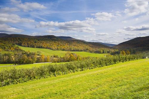 论文查重的方法是什么？查重的范围是什么？