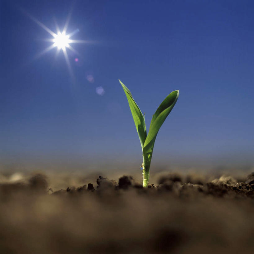 论文查重需要查重哪些部分？有要求吗？