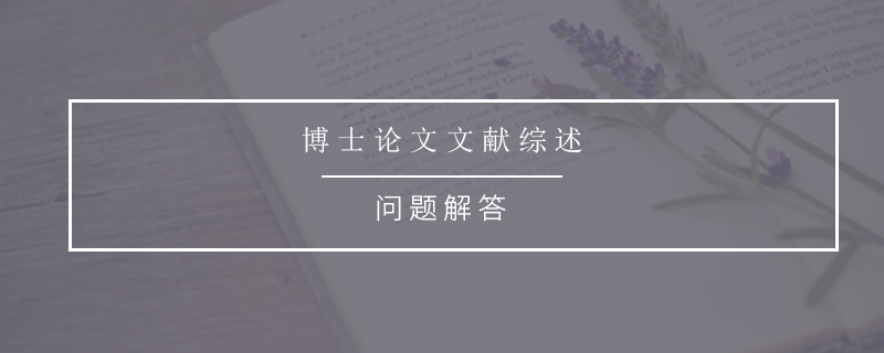 博士论文文献综述