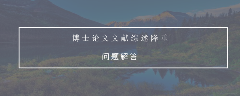 博士论文文献综述降重