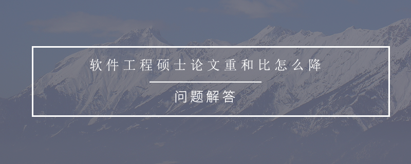 软件工程硕士论文重和比怎么降