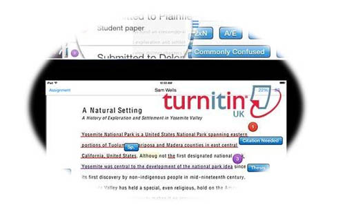 英语论文查重turnitin