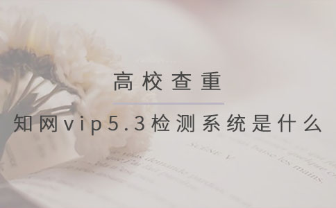 知网vip5.3检测系统是什么